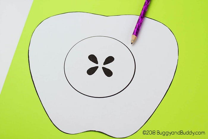 trace the apple template onto cardstock