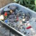 Tide Pool Science Exploration for Kids
