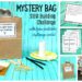 mystery bag STEM design challenge for kids using recyclables with free STEM challenge cards